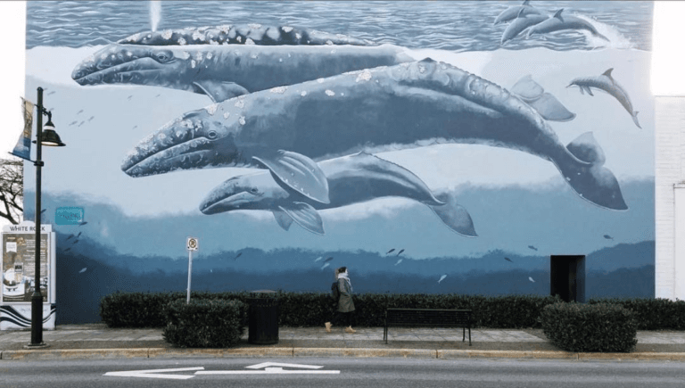 Whale Wall mural near White Rock Pier